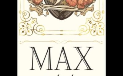Max sucht den Superstar