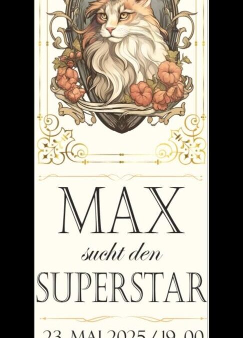 Max sucht den Superstar