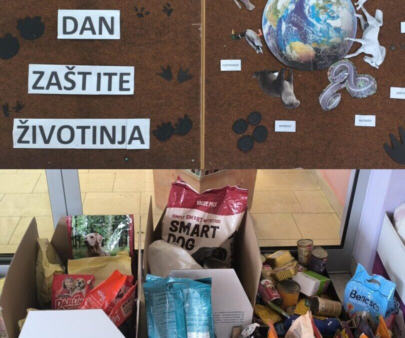 Prikupljali smo donacije za Udrugu Spas